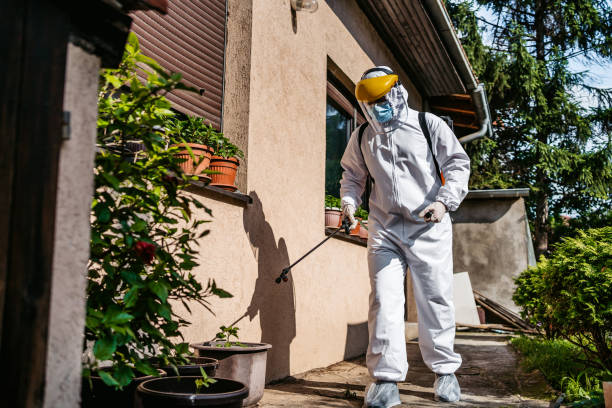 Best Pest Control Cost  in Manly, IA