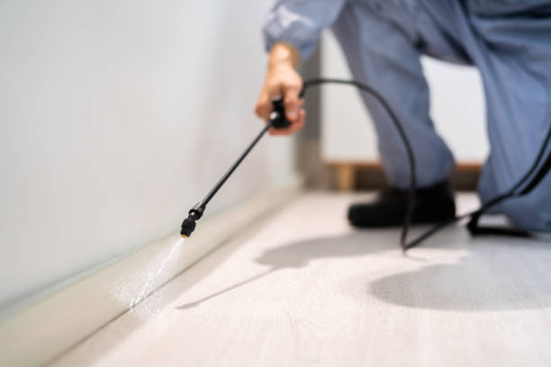 Best Wasp Removal Services  in Manly, IA