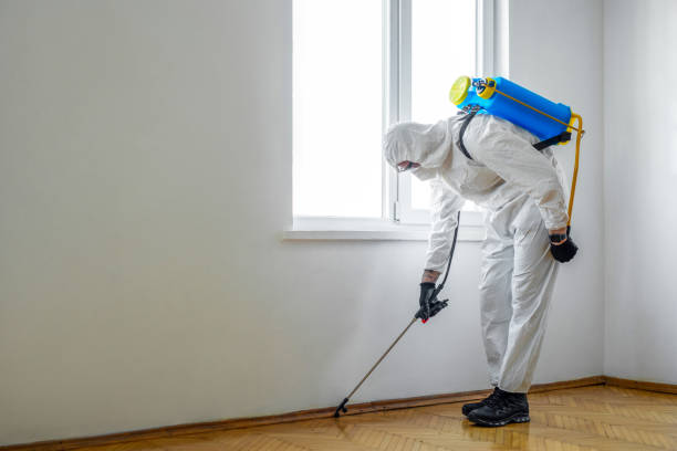 Best Bed Bug Extermination  in Manly, IA