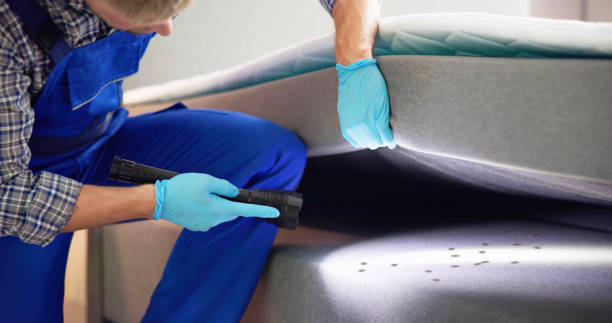 Best Best Pest Control Companies  in Manly, IA