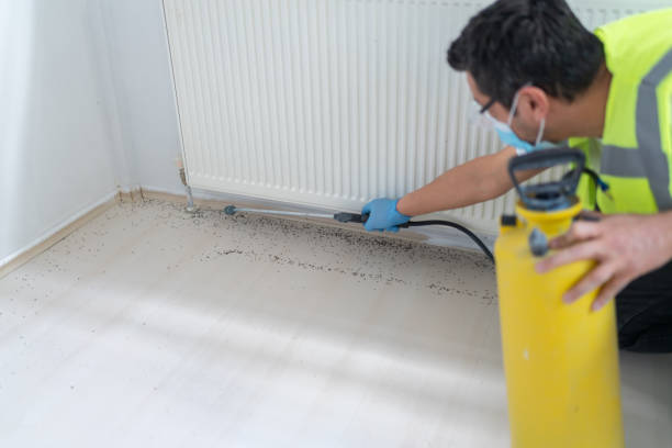 Best Best Pest Control Companies  in Manly, IA