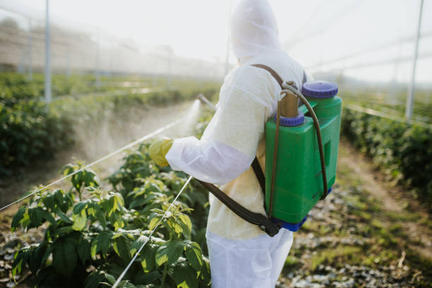 Best Residential Pest Control  in Manly, IA